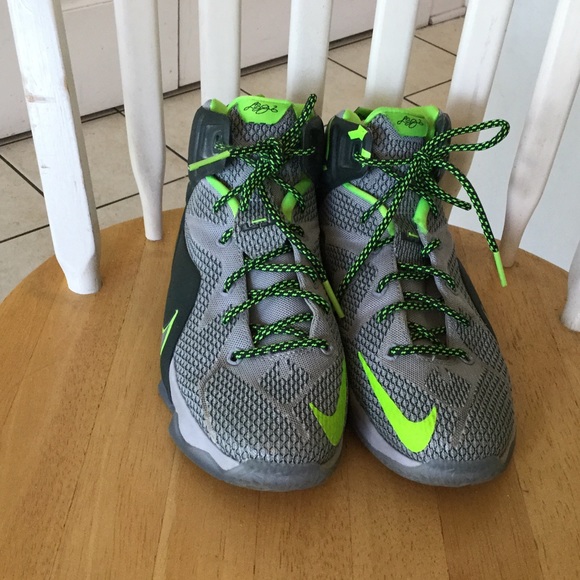 nike Other - Nike Lebron Sneakers